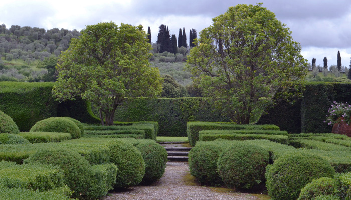 Chianti Region Wedding